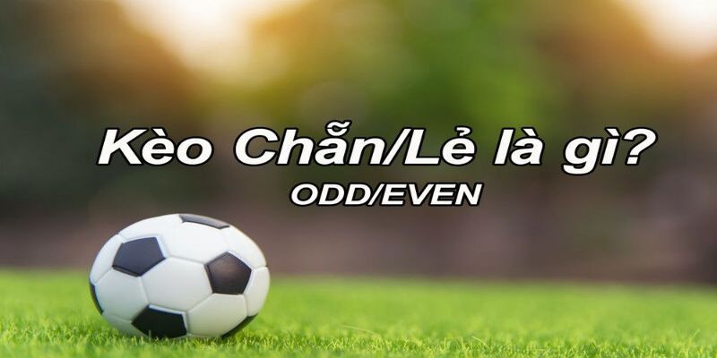 Chẵn lẻ là một kèo mở rộng được khá nhiều bet thủ yêu thích