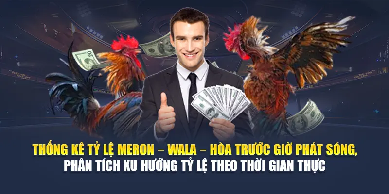 Thống kê tỷ lệ Meron – Wala – Hòa trước giờ phát sóng, phân tích xu hướng tỷ lệ theo thời gian thực